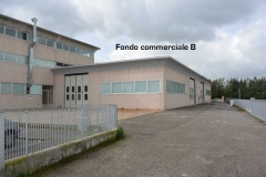 FC_B_2